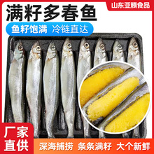 冷冻托盘多春鱼烧烤日料煎炸食材带籽多春鱼整箱满籽母体多春鱼