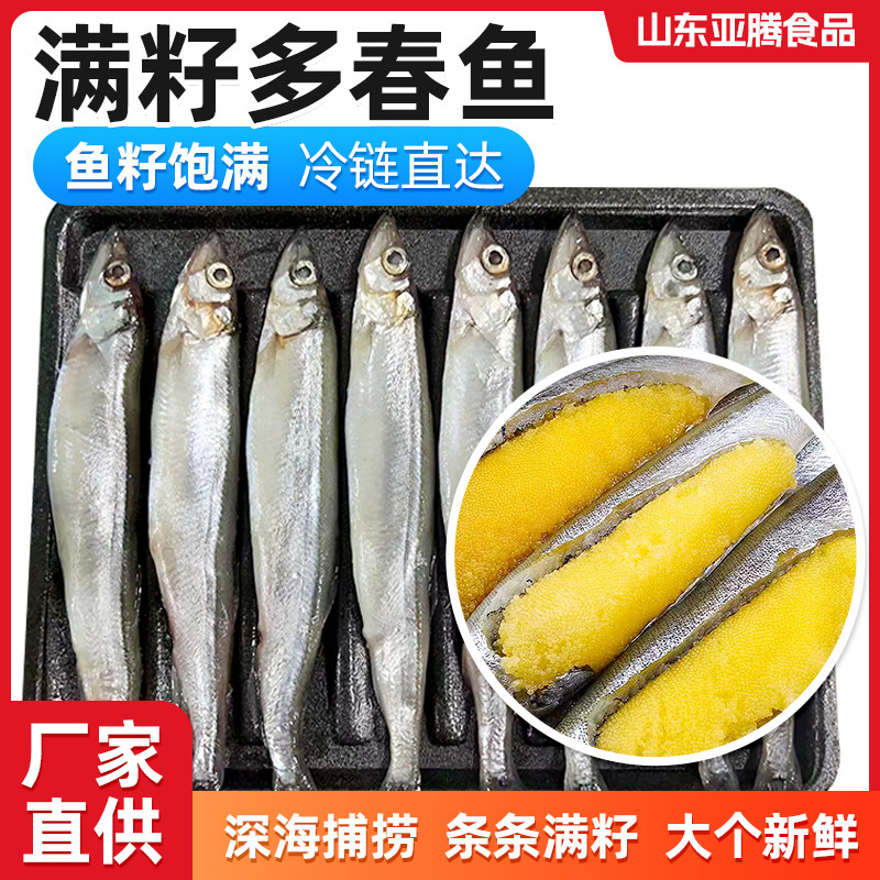 Frozen Tray of Spring Fish Barbecue Japanese Fried Ingredients with Seeds Whole Box Full of Seeds Mother Spring Fish Frozen Tray of Spring Fish Barbecue Japanese Fried Ingredients with Seeds Whole Box Full of Seeds Mother Spring Fish