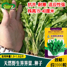 jҰ˷N rˈ@ʳ~rҰ߲l