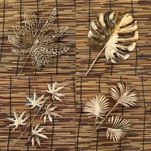 ��֦��ɫ�y���~�ȼ��������ɫõ��ٻ��Ҿ��b�Y�ò������ϻ�