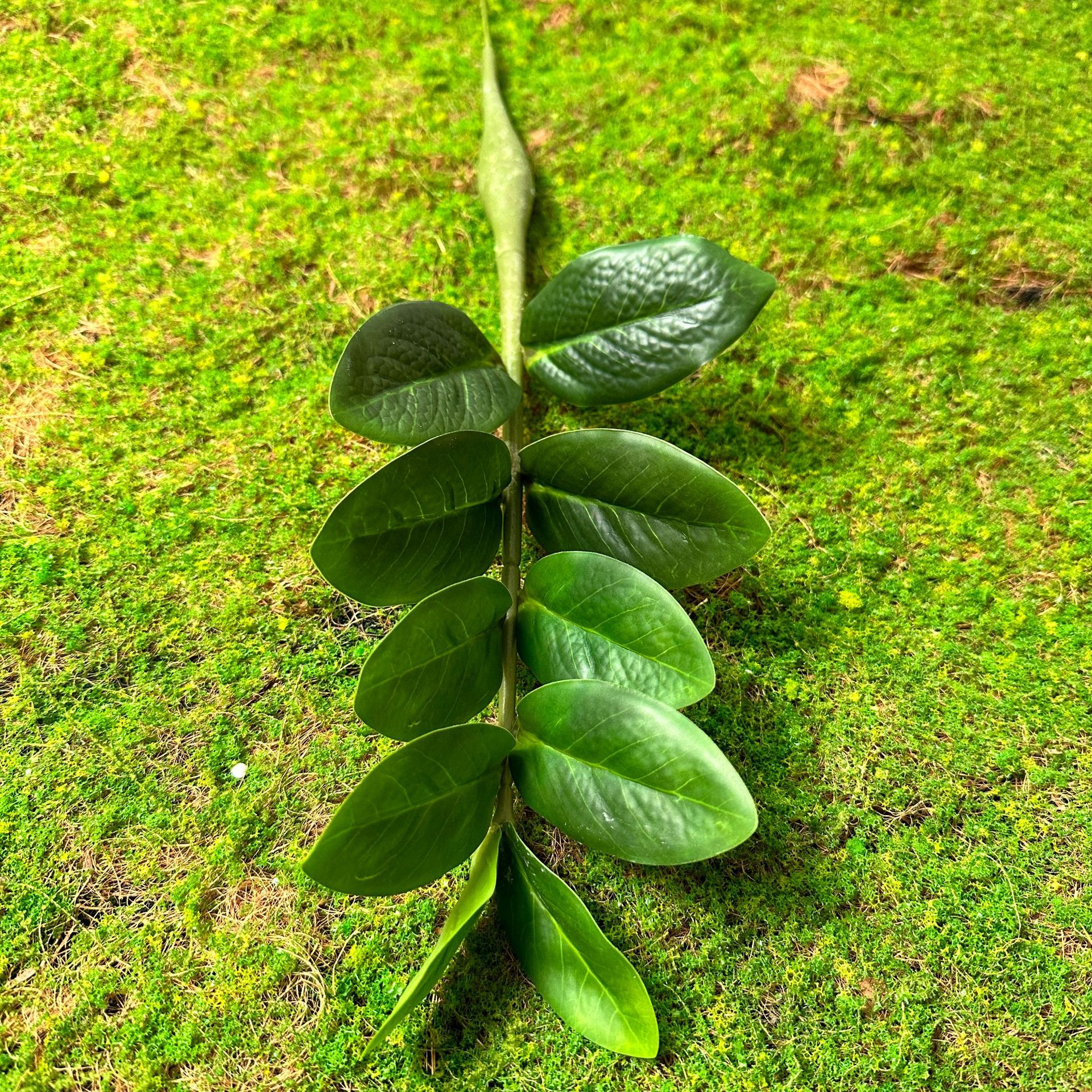 Money Leaf 10 hojas individuales (altura 40)