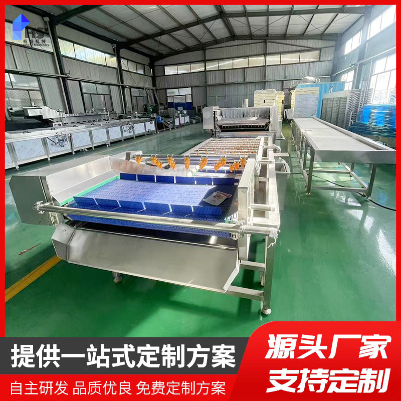 Máquina de limpieza de burbujas de frutas y verduras comerciales Máquina de enjuague de papas y cebollas Máquina de limpieza de frutas frescas de acero inoxidable gran equipo de secado por aire