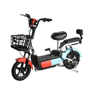 Custom Electric Bicycle, New National Standard, 48V 60V