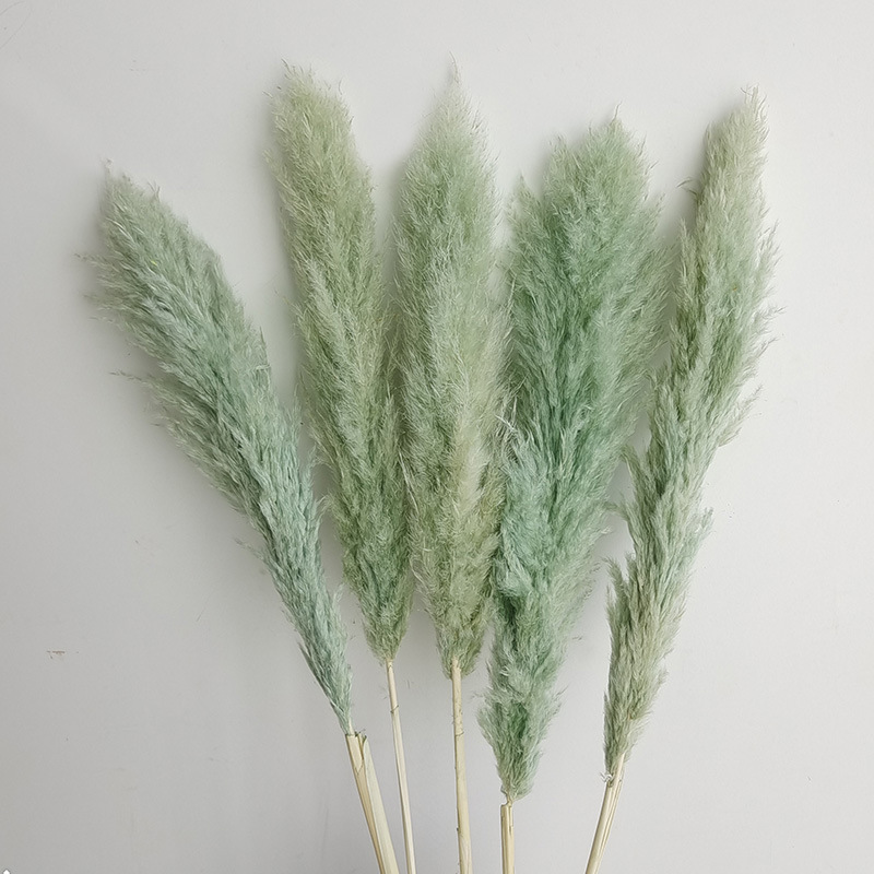 (5)5 꽃 스파이크 70-80cm 전체 길이 약 140cm