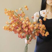 иɻpݟ\ˇ[O滨ٻb滨[߼