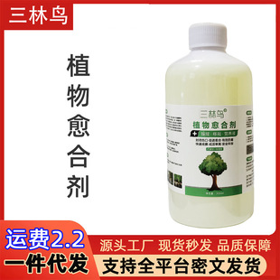 ֲ��������τ���ľ����޽��辰��֦������ľ�����п��m���I�BҺ