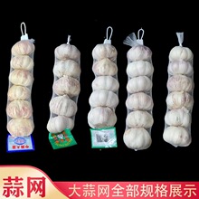 ���l�����W������W������С�۾W�������W����W���W�۴���