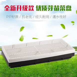 ���rѿ�˱P����������P��ˮ�������P��ѿ�������бP�����P�Nֲ��