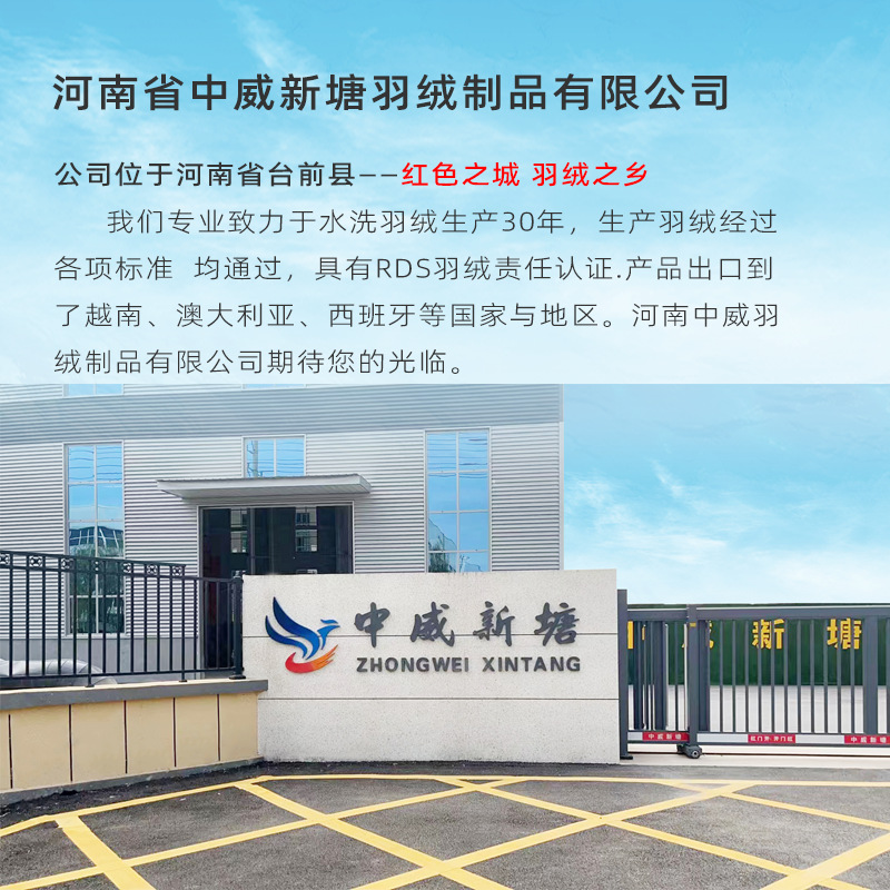 源头工厂按需定制羽绒服标准白鸭绒羽绒被标准纯白鸭绒过广检羽绒