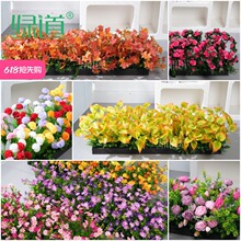 ���滨�ٻ��[�O�����쾰�Gֲ�҃��⻨ˇ�b����϶��N��ĵ��޹�²�