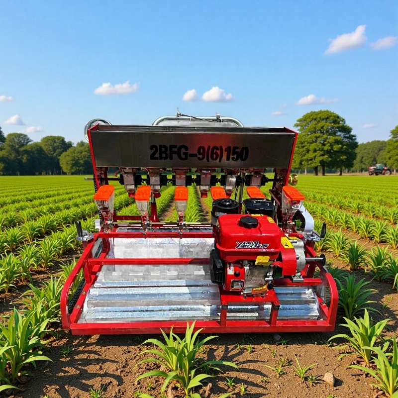 柴胡白术桔梗播种机 芹菜香菜油菜精播机 远志牛蒡子板蓝根种植机