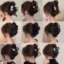 �p�ݸ߼���ץ�AŮ2024�¿���X�ױP�l���~�A�߶˰l�A���|�W�t�^�