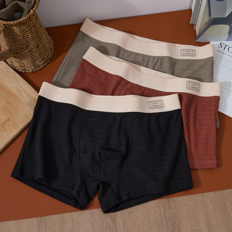 Men's Underwear New Style Exquisite Waistband Popular Cotton Skin-Friendly Breathable Mid-Waist Boxer Briefs Youth Large Size Available for Dropshipping Men's Underwear New Style Exquisite Waistband Popular Cotton Skin-Friendly Breathable Mid-Waist Boxer Briefs Youth Large Size Available for Dropshipping