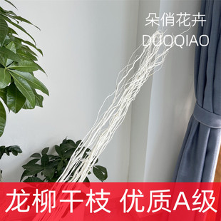 ��Ȼ�ɘ�֦�����ɘ�֦���֦�b�ɫ�ɻ���ɣ�b�����֦��������