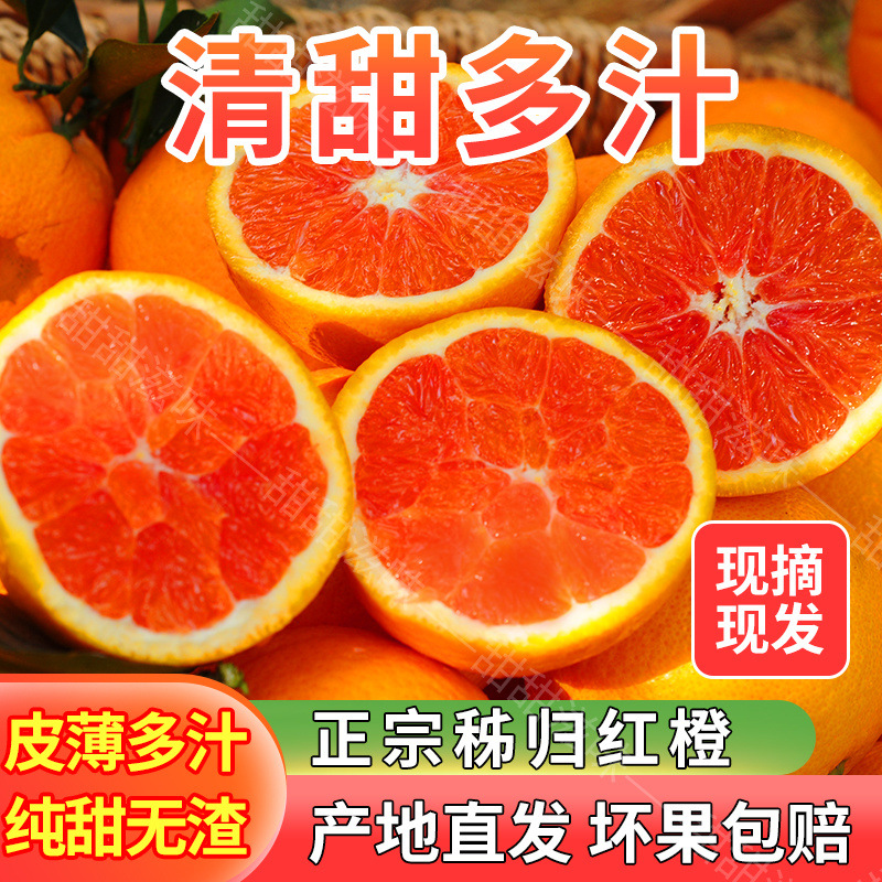 中华红橙当季新鲜红肉橙子现摘现发精品大果秭归特产脐橙血橙