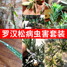 �_�h�ɚ��x�������b�辰���xș֦���S�~�׷۲�򻚤�x�׷�ʭ���x��