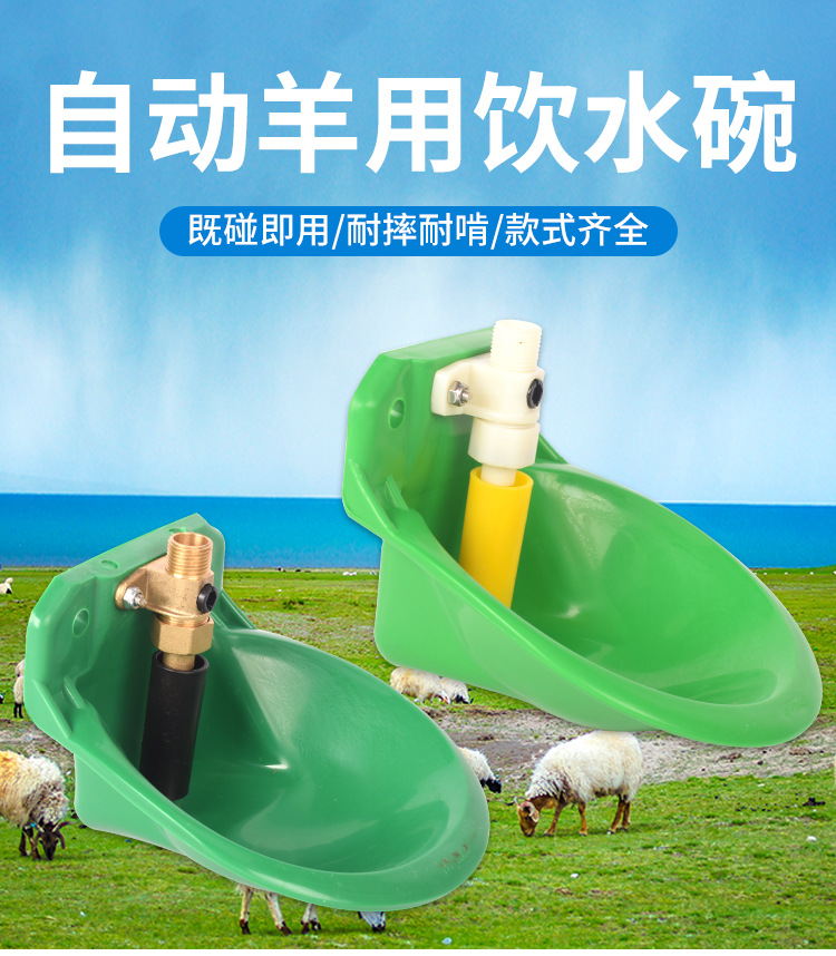 详情1_01.jpg