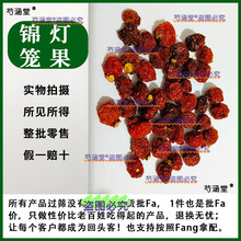 �\���\��ș����Ʒ���\���t�������Ƥ�t���\�๽������o��