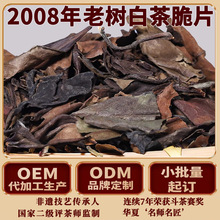 �����ա�2008���ω�ü�����ײ�ɢ������Ϙ��ϰײ藗ș�����l��ُ