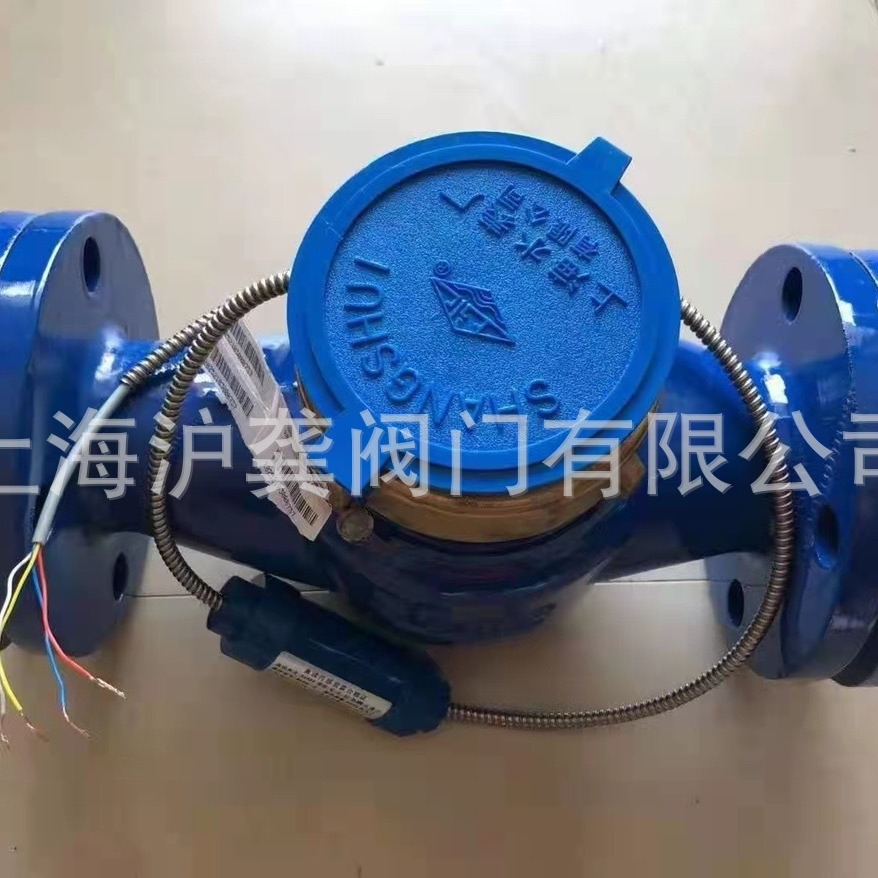 上海远传水表458接口188协议9600波特率  远传水表上水牌DN50  65