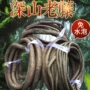 婚庆仿真管道假植物树藤