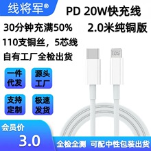 ����܊�m���O����䔵����type c�Dlightning 2.0��PD��䔵����