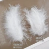 Short pointed tail white