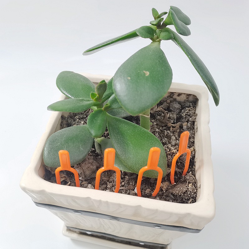 IMG_20230308_104956_副本_副本