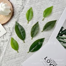 仿真桂花叶仿真绿植叶子仿真叶片DIY条配件仿真绿植仿真茶树叶