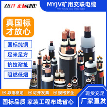 MYJV�V�ý���|������ϩ�o��ú�V����|MYJV䓎��z�b�V����|