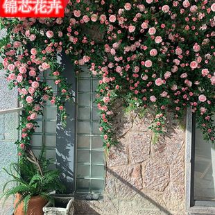 õ�廨�Nޱ���ٗl�L�l���ٽ����ٻ����ů��ܵ��b��