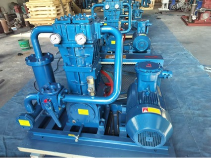 Zw0.8/10-16 Liquefied Gas Compressor Air Compressor Manufacturer's Special Offer for Special Gas Compressor Air Pump