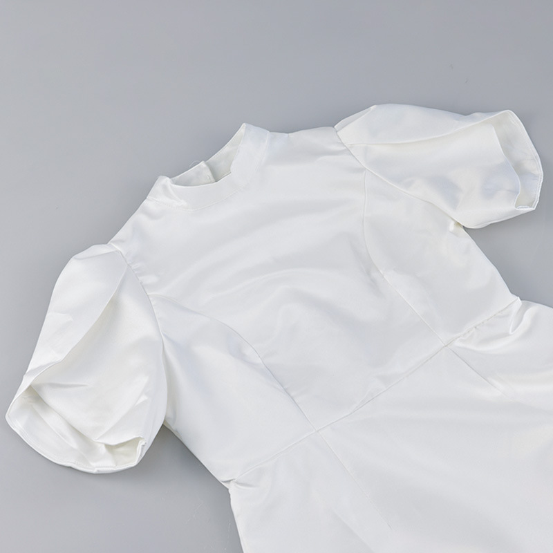European And American Cross-border 2024 New Model Half-high Collar Short-sleeved Red Dress, Slim-fit High-waisted Dress_ecoleips.com
