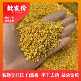 广西特级桂花干桂林食用花茶桂花干花花茶散装金桂花干冻干桂花茶