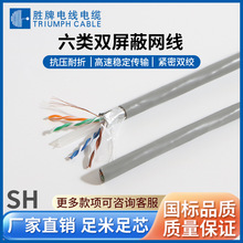 ���� ����X�������ξW�� CAT6 FTP�p�g��ǧ�׾W�� �o�����~��о