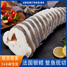 法国冻南极犬牙鱼整条银鳕鱼新鲜宝宝辅食深海鳕鱼片批发冷冻鳕鱼