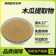 木瓜提取物10:1-30:1 木瓜粉 木瓜熟粉 食品级 药食同源 源头工厂