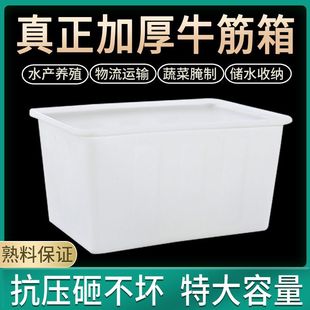 Beef Tendon Plastic Water Tank Rectangular Thickeneded Water Storage Large Capacity Fish Farming Aquatic Product Box Household Storage Box Extra Large Yiting