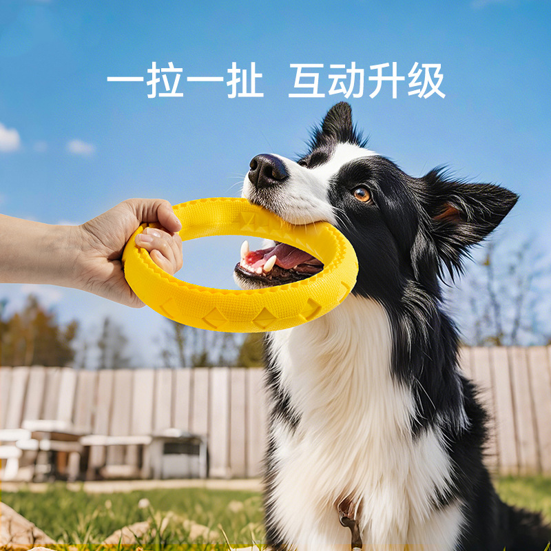 Mascotas, resistentes a las mordeduras, resistentes al desgaste, Eva, frisbee, agua flotante, juguetes para tirar del río, dientes molares, limpieza, juguetes interactivos para perros de tira y afloja