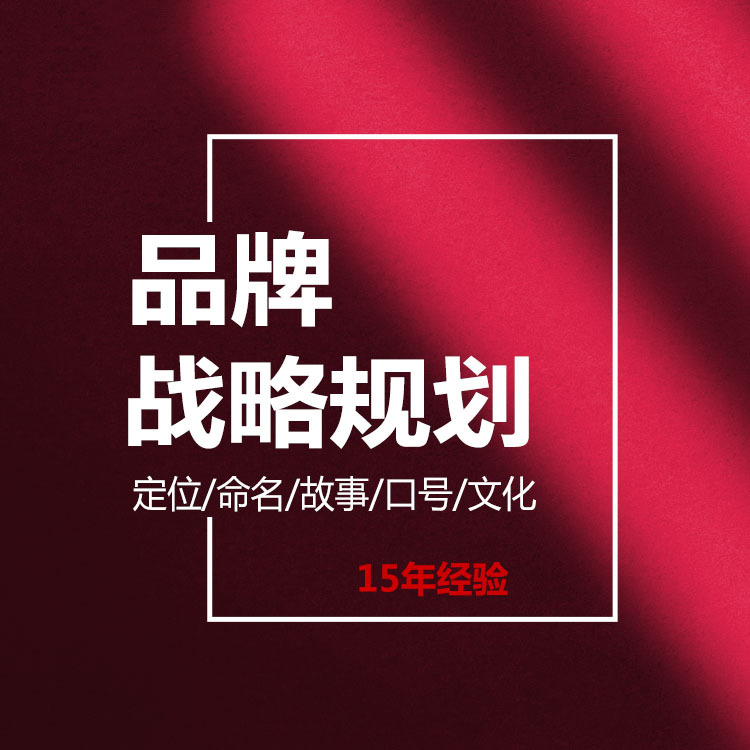 2023  1品牌战略规划 15889567182  洋红