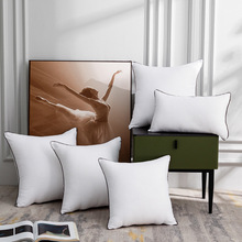 Դ�^�S�����l��z�q��о���R�dɳ�l���|�Ƶ��p�˿ɶ������ɳ���ܛ