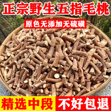 �V����ș���ؼ���ָë�Ҹ��Ҝ����ڟo��ș���ݾƸ�؛������