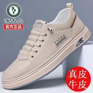 ��ľ�B��Ʒ������Ь��ƤţƤ���eС��Ь���＾͸���Ь��ʿ��Ь��