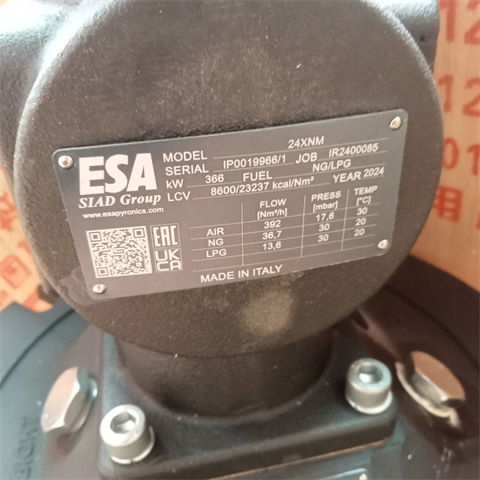 议价ESA pyronics燃烧器EMB-4-SIK-GA-CH4-E-M4-E型号EMB-4-SIK-G