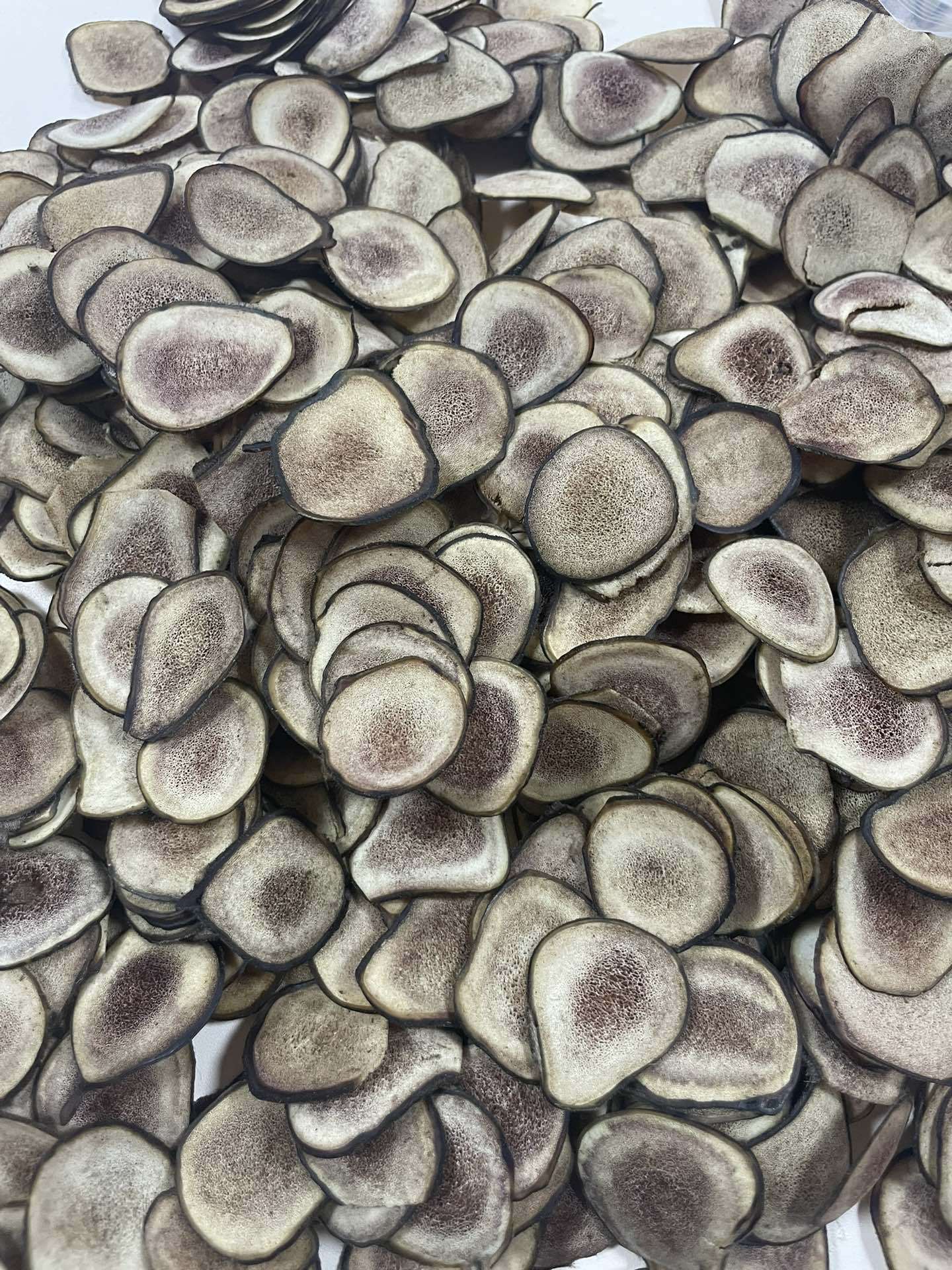 Dried Deer Antler Slices Xue Sha Pian Jilin Origin Traditional Herbal Decoction Pieces 10g in use