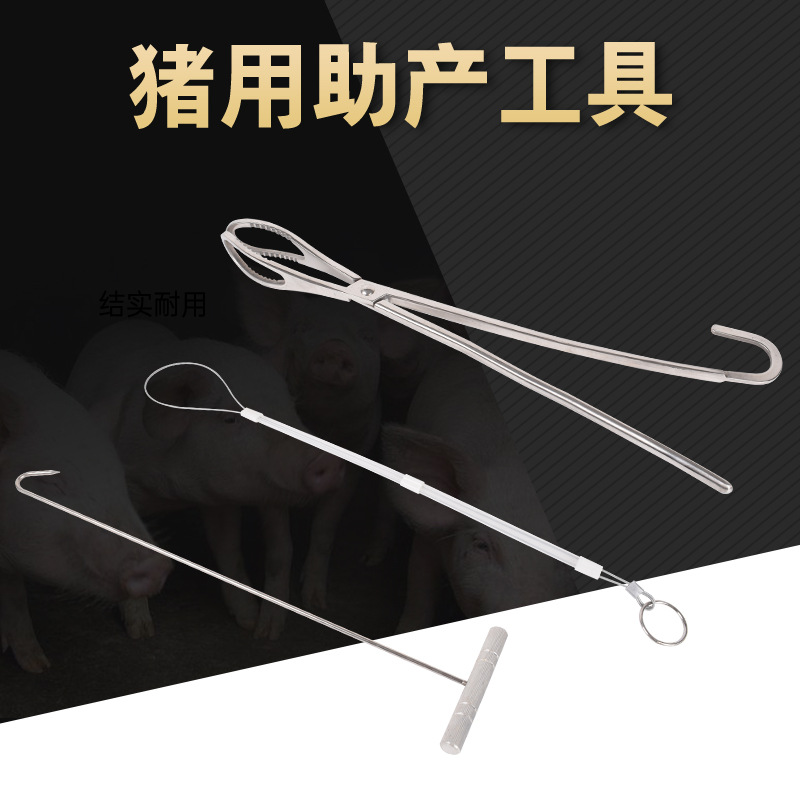 Cerdo Cuerda de ayuda al parto veterinaria Gancho de ayuda al parto Pinza de ayuda al parto Pinzas de ayuda al parto Herramienta de ayuda al parto distocion artefacto removedor de cerdo