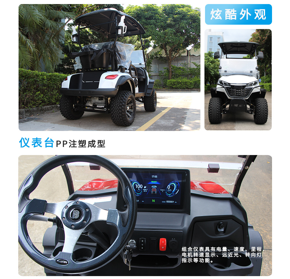 2-Seater Golf Cart, Cross-Border Sightseeing Vehicle, Tourist Attraction Hotel Shuttle Bus, Golf Course Ball-Picking Cart, Golf Cart