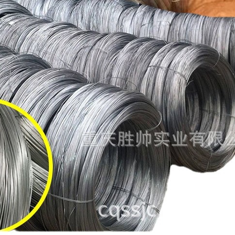 2024-12-16 14:55:34.jpg