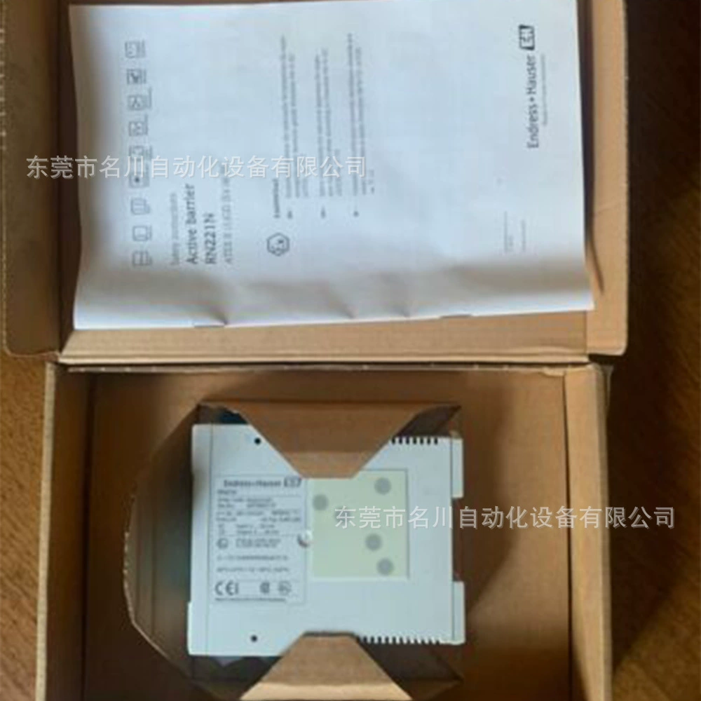 RN221N-B1 концевой преобразователь изоляции сигнала E + H торг на продажу