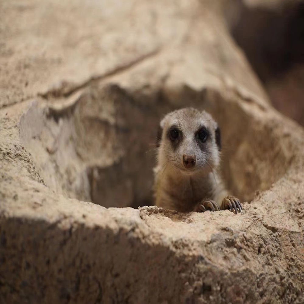 微信圖片_20230329111435